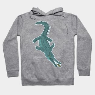 Attrape Poisson - FR - Gavial Hoodie